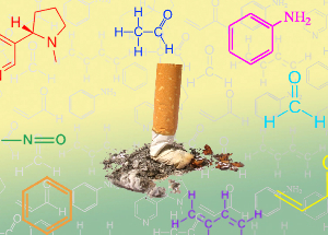 NicoZero blocks the sensitivity of the receptors nicotine